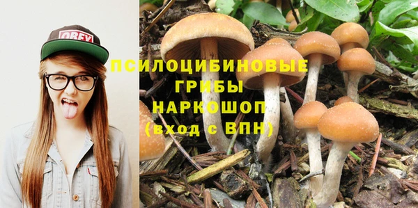 mdpv Алзамай