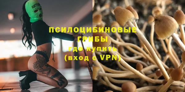 Альфа ПВП Алексин