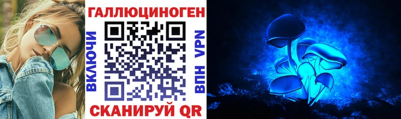 где можно купить   Белоозёрский  сайты даркнета состав  Галлюциногенные грибы мицелий 
